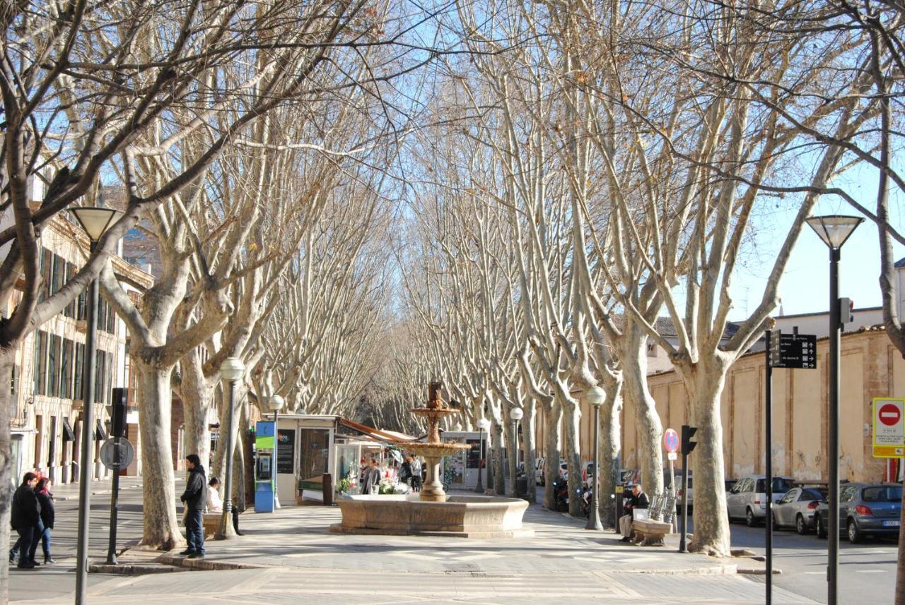 Cream Homes La Rambla, Turismo De Interior PMI Eksteriør billede